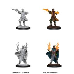 Nolzurs Marvelous Unpainted Miniatures Male Human Sorcerer